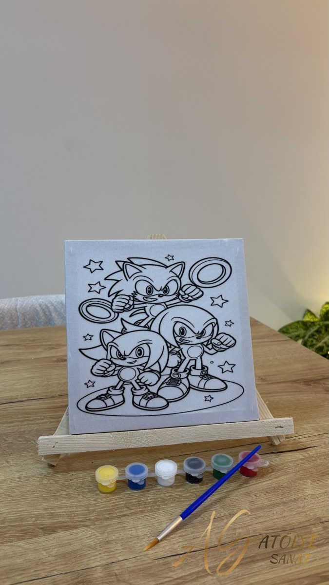 Sonic Tuval Boyama Seti